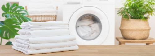 Bag - Wash & Fold