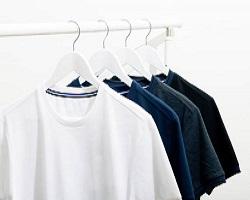 Shirt, T Shirt or Blouse