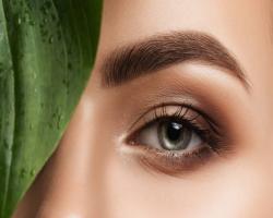 Eyebrows
